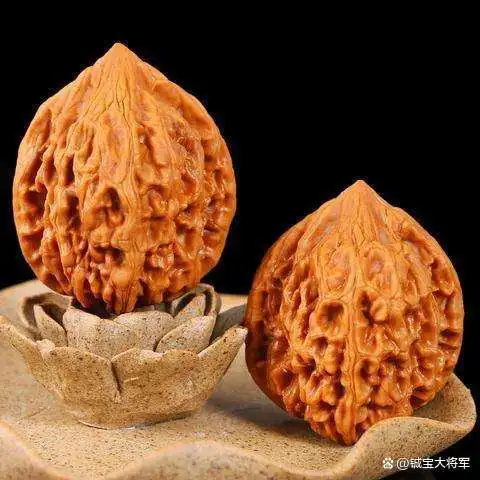 文玩核桃种类(文玩核桃种类大全图解)