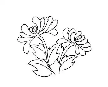 菊花简笔画带叶子的菊花简笔画图片