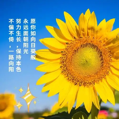 漂亮早安问候祝福图片唯美温馨带字,早安祝福问候语句
