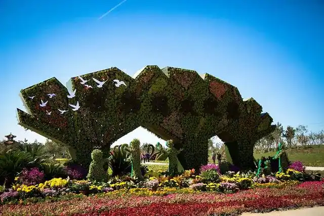 小马智联助力东营植物园传统租赁模式改造升级,革新车辆管理模式