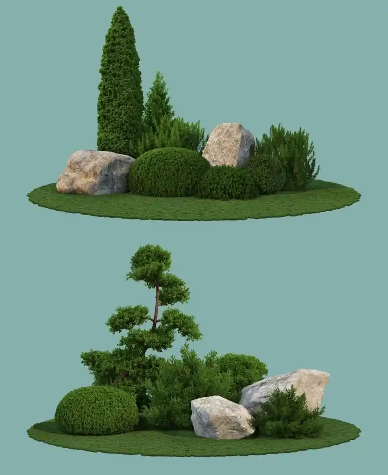 植物笔记>石头球状灌木组团 景观花镜庭院 球状灌木植物配合石头做