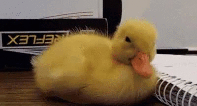 热点热门 萌宠表情 萌娃表情 斗图表情 锦鲤 土味语录 套路图 来自