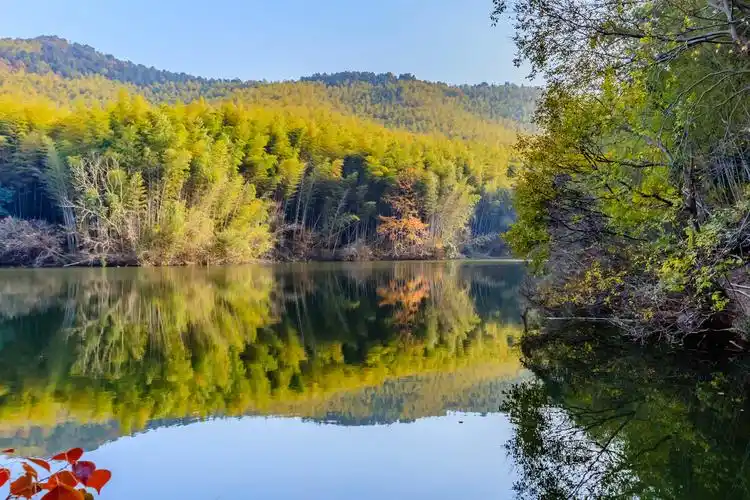 南京石塘竹海踏秋. - 泥水匠 - 图虫