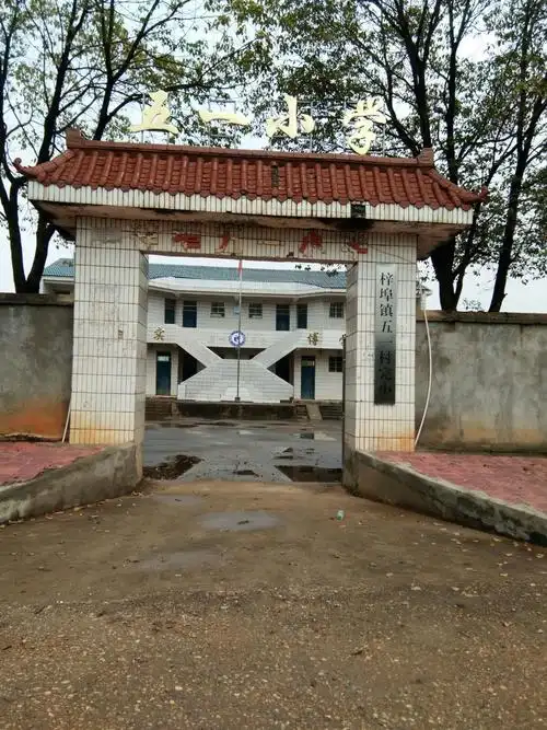 雏飞的五一小学