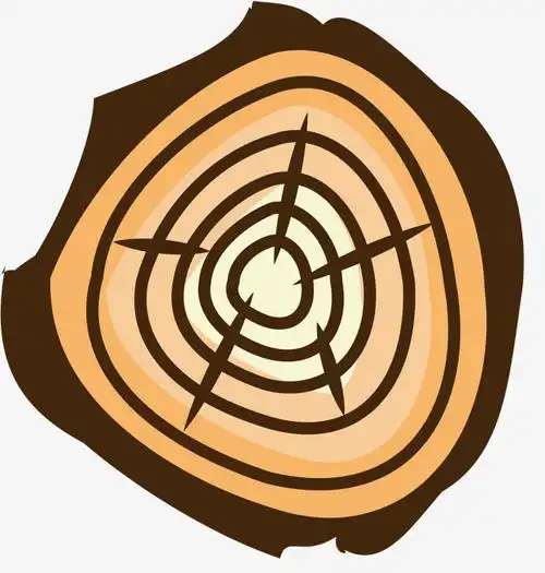 树木有刻度的手绘树木年轮