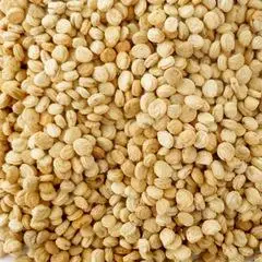 东北长白山特产人参籽 人参子 批发500g