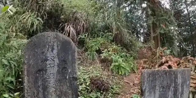 郁山镇对面的一个山包上却有太子墓|李承乾|彭水县|郁山镇|黔州|唐朝