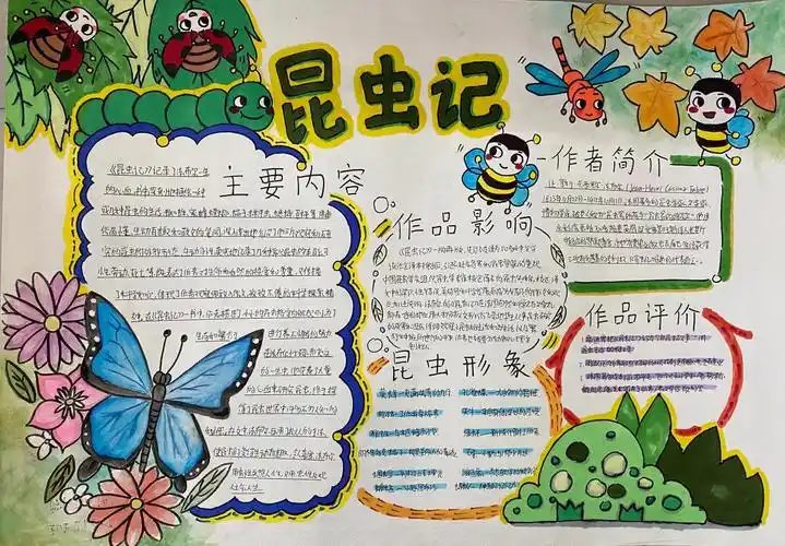 昆虫记手抄报内容怎么写(昆虫记手抄报昆虫介绍)