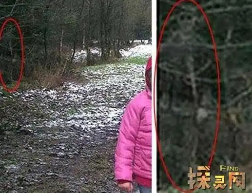 世界上真的有鬼吗揭秘为什么政府隐瞒鬼神的存在