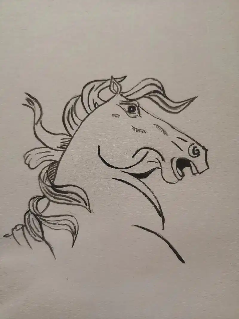 白描画练习动物之马头图 - 抖音