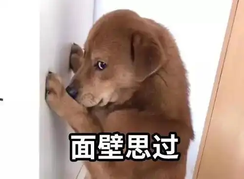 赶紧面壁思过去!你是不是还跟前任藕断丝连?