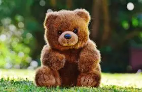 毛绒绒的玩具熊图片17张