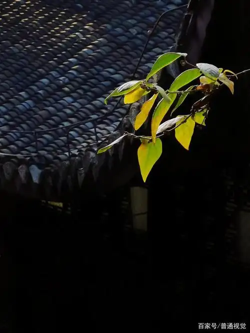 极简禅意摄影,少则是多的艺术,正所谓万物之始,大道至简