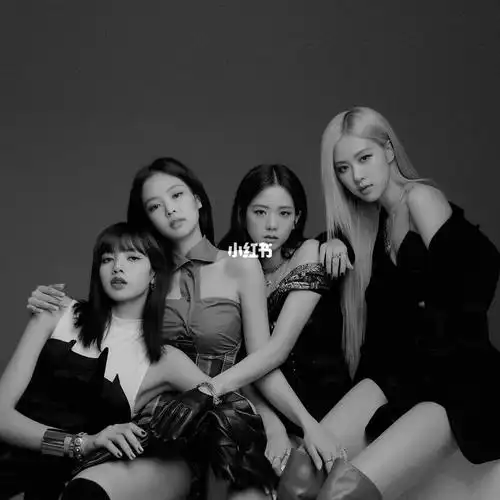 简介blackpink(13946259),是yg娱乐于2016年推出的女子团体