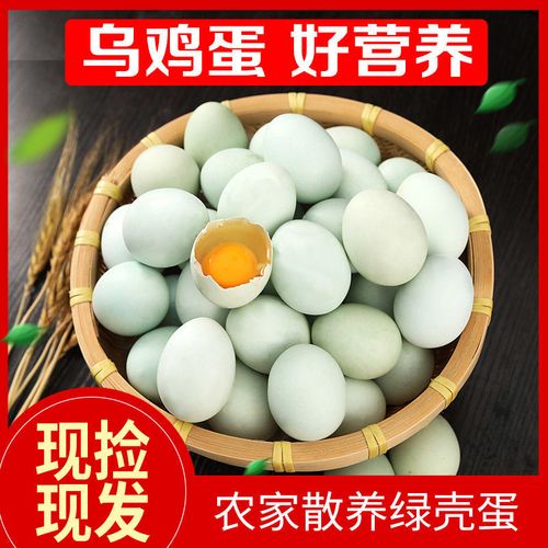 正宗农家散养纯天然绿壳乌鸡蛋孕妇宝宝月子蛋优选绿壳蛋整箱包邮