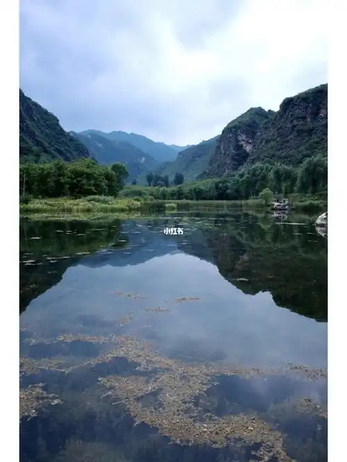 宠物友好京郊自驾延庆百里山水画廊