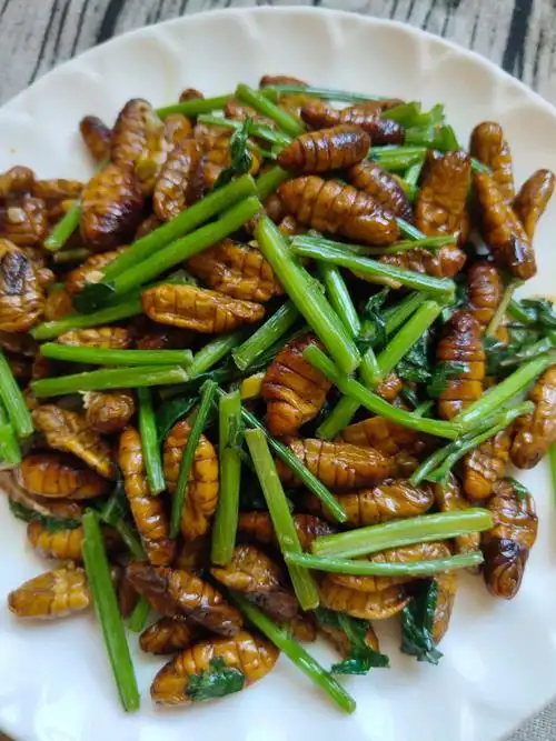 这道 一学就会快手菜 香菜炒蚕蛹,分分钟光盘