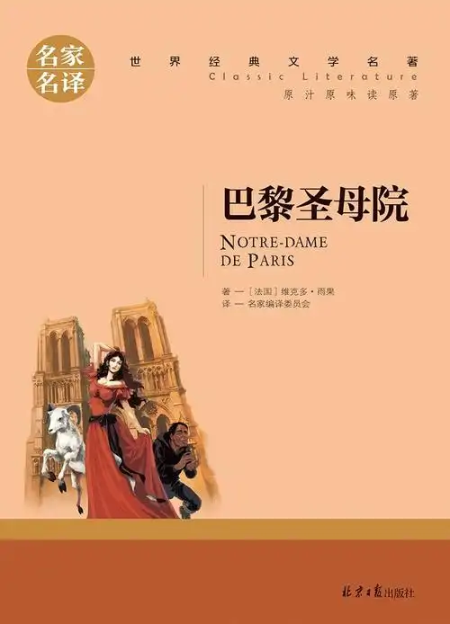 《巴黎圣母院》雨果著【摘要 书评 在线阅读】-苏宁易购图书