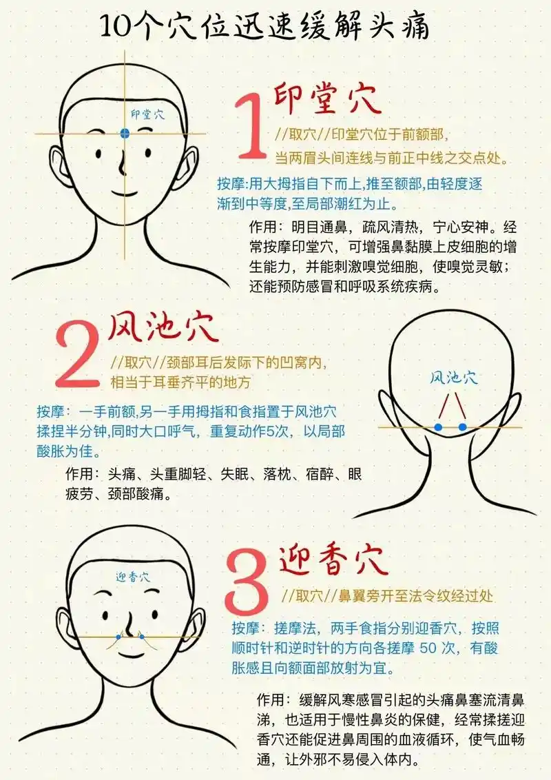 线的交叉处,即前发际到后发际的上5寸处. 头部整体循环,让营 - 抖音