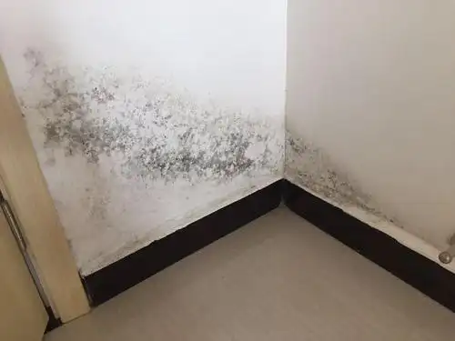 房屋墙面发霉处理方法是什么