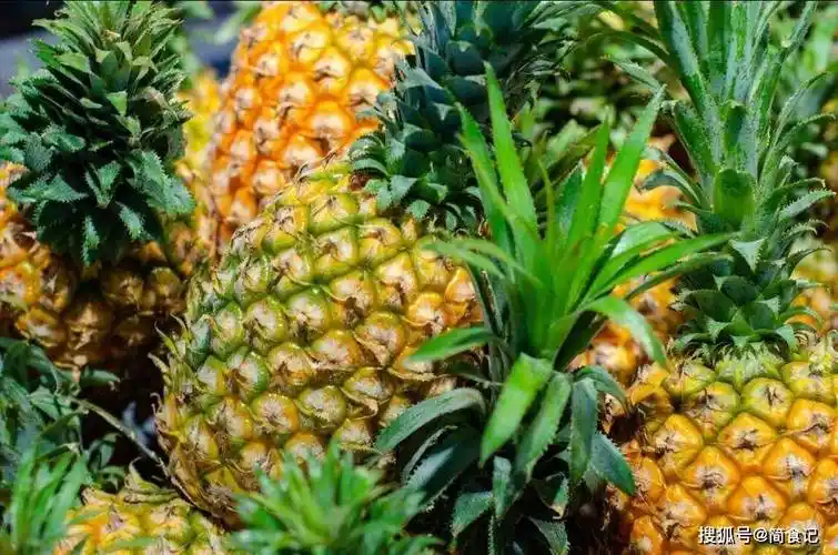 原创菠萝23年才结果为啥四季都有卖背后的猫腻你知道多少