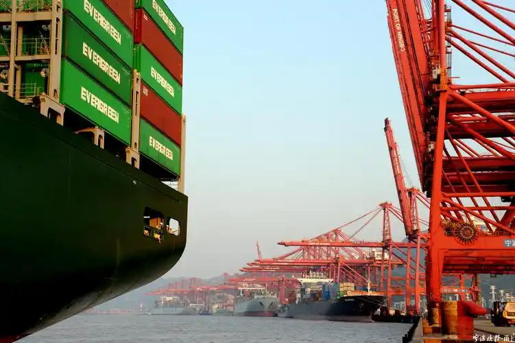 李浙东:40多年记录大港来时路 - 宁波都市传媒网