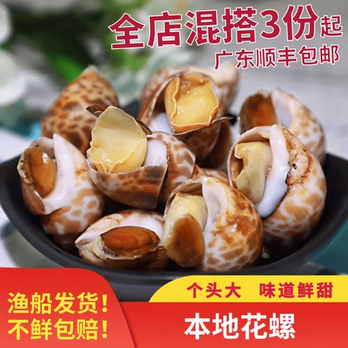 阳江海陵岛特产海鲜鲜活本地花螺东风螺新鲜螺小海螺贝壳类  500g