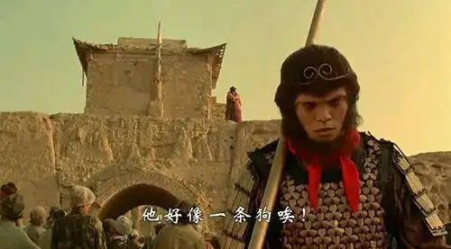 你看那个人他像一条狗-码农港湾