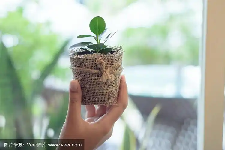 女孩手捧花盆,模糊了大自然的背景,拯救地球的概念