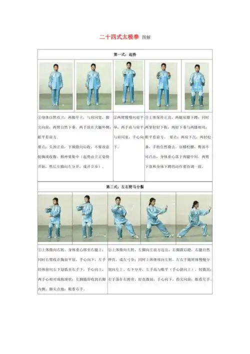 24式太极拳图解及讲解.doc