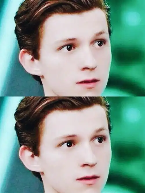 荷兰弟呐,我的小虫