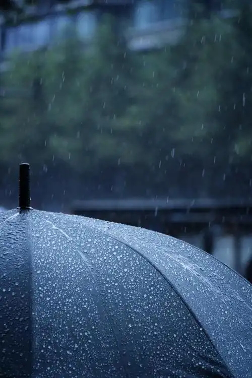 标签雨成都雨中伞          莱布尼茨           lv.