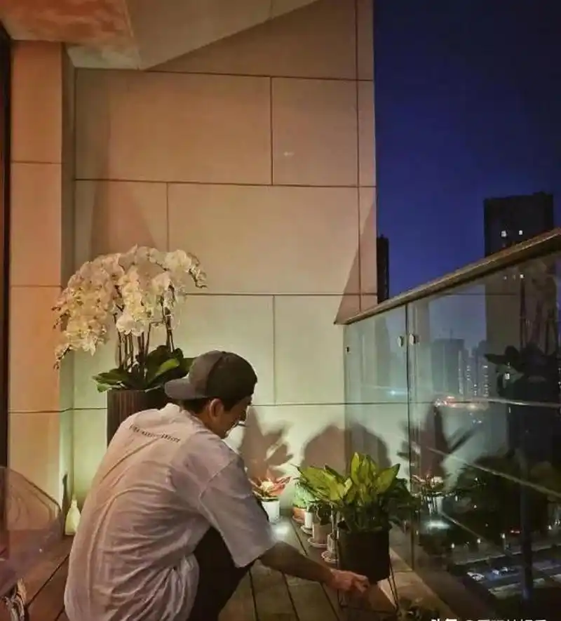 gif创作人# 看看张翰的豪宅吧,装修十分奢华,一看就是有钱人的家