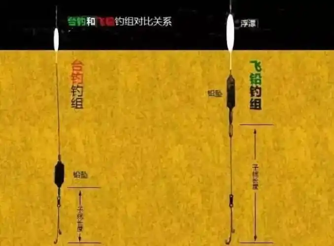 什么情况用飞铅钓鱼?飞铅钓法的实际应用