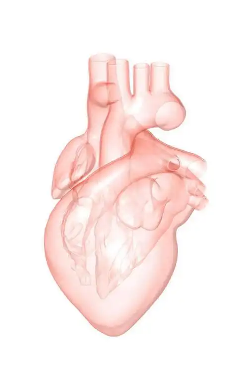 医疗,医学,合成图