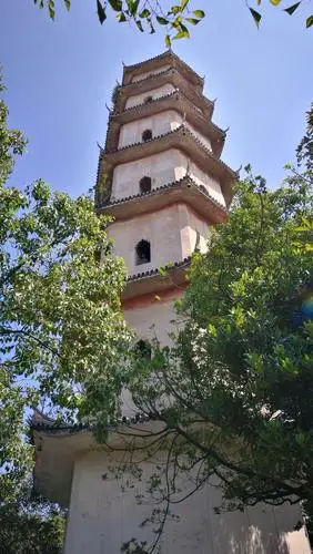 25-温州美景江心屿 古城老巷五马街