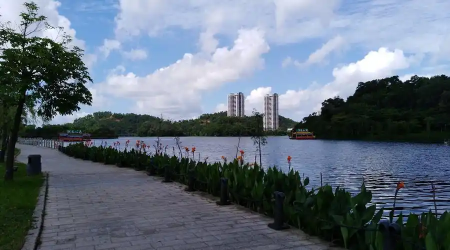 广东省阳江市江城区城东街道东湖路19号天气预报