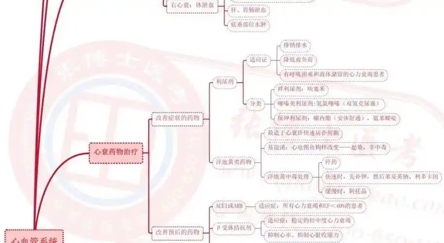 临床心血管系统思维导图