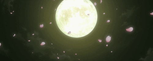 月亮落花唯美夜晚gif动图_动态图_表情包下载_soogif