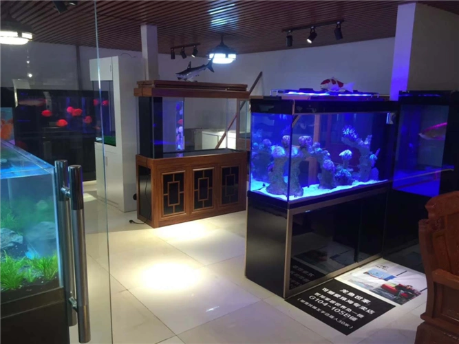 鱼缸生产厂家_专业定制_价格合理