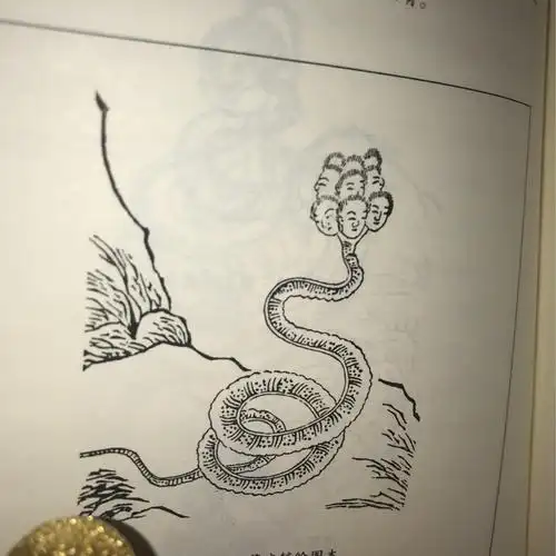 《山海经》相柳—共工之臣