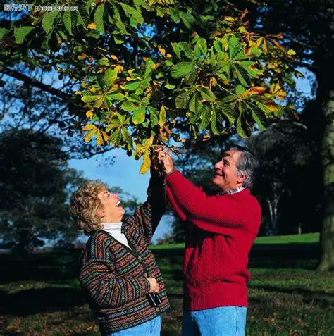 老人眷恋夕阳眷恋夕阳同盟2022已更新今日图集