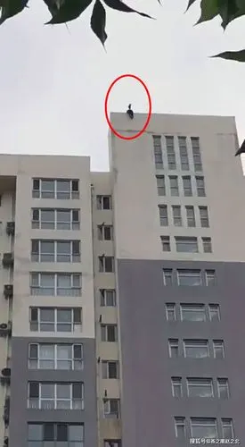 沧州任丘一女孩从临街楼顶坠下