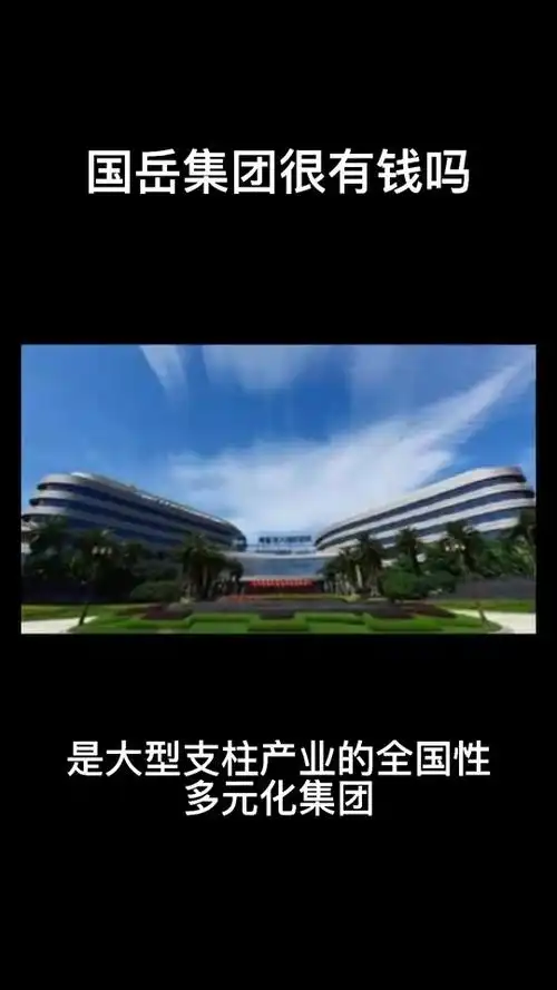 国岳集团董事长老婆是做什么的