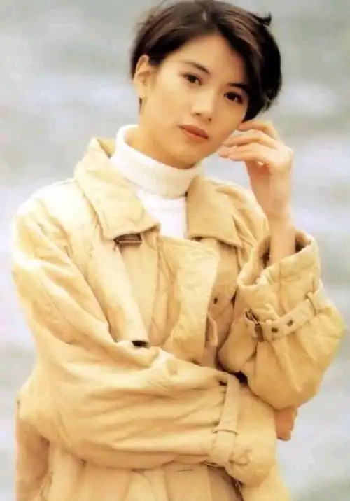 香港90年代流行的短发(香港90年代短发造型)(31)