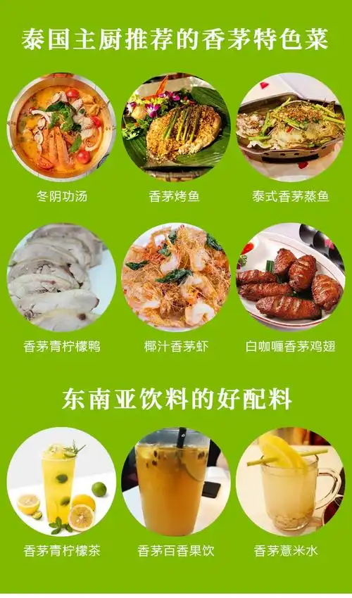 新鲜香茅草柠檬香茅柠檬草奶茶店调料泰国冬阴功汤料原料精选3斤装