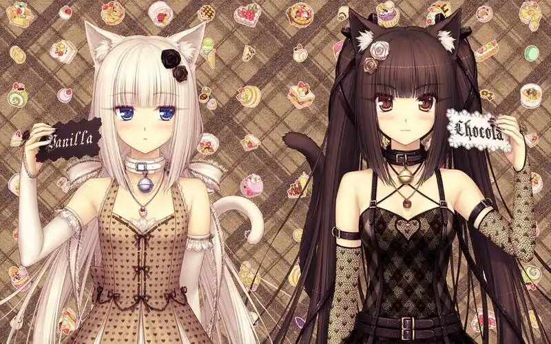 巧克力与香子兰 壁纸求这张高清无水印