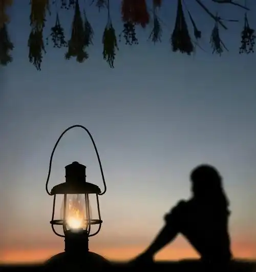 一个人撑得很累的句子,扎心入骨,献给没人疼的自己