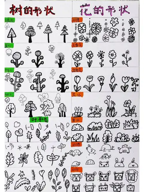 动植物简笔画集合含过程