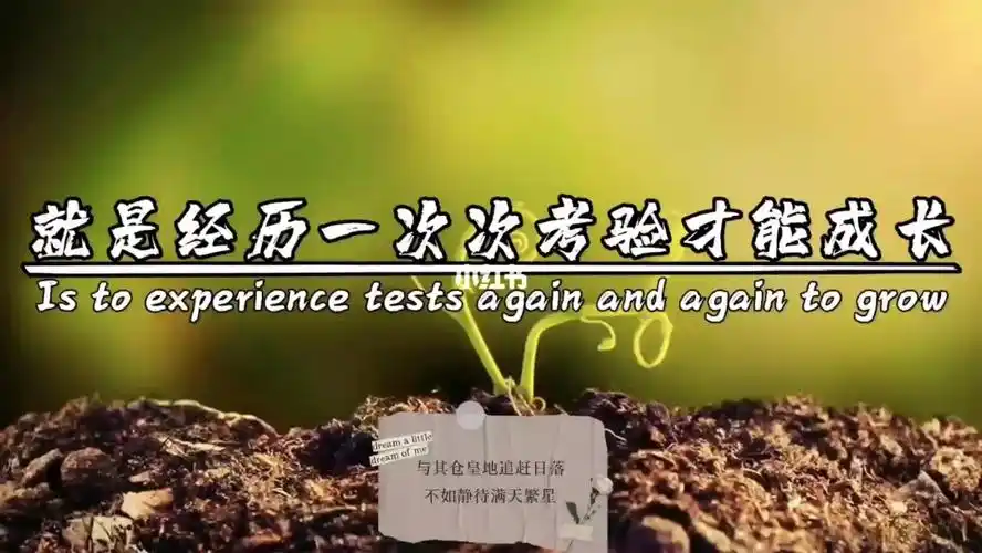 人生就是经历一切不怕困难慢慢成长的过程